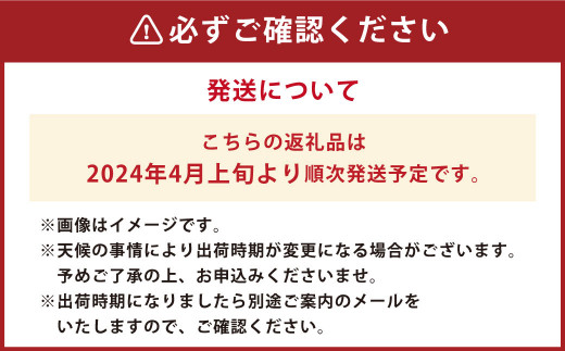 熊本県 合志産 小玉 すいか （品種：ひとりじめ） 1玉 約3kg