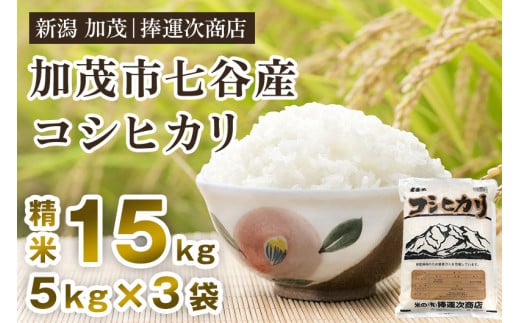 【令和6年産新米】新潟県加茂市七谷産コシヒカリ 精米15kg（5kg×3）白米 捧運次商店