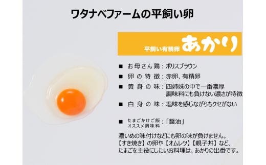 [平飼い有精卵30個×6か月連続定期便] ガツンとインパクトのある濃厚な黄身【平飼い有精卵あかり】｜矢板市産 こだわり卵 たまご 玉子 生卵 鶏卵 [0436]