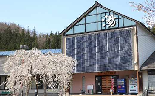 FYN9-806 水沢温泉館 大井沢温泉館 共通定期券（3ヶ月）