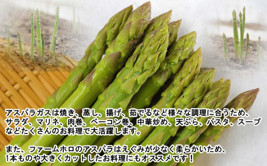 ＜先行予約＞ 北海道産 春採り グリーン アスパラガス 1kg 3Lサイズ以上 ＜2023年5月上旬より発送＞ 北海道 グリーンアスパラ アスパラ 旬 新鮮