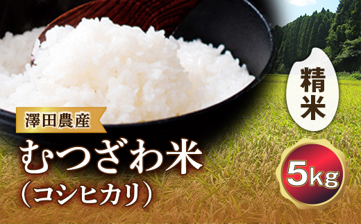 令和5年産米 むつざわ米（コシヒカリ）精米 5kg 澤田農産 F21G-131