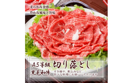 鹿児島県産黒毛和牛&国産牛もつ鍋セット A3-136_ 牛肉 牛もつ もつ鍋 黒毛和牛 切り落とし 鹿児島県産 国産 セット 食べ比べ ギフト 贈答 グルメ A5 豪華 パーティー 産直 産地直送 【1166324】