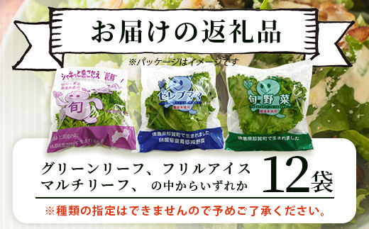 ピュアベジタブル 12袋［徳島県産 那賀町 やさい 野菜 新鮮 リーフレタス フリルレタス ベジタブル サラダ 野菜生活 レタス 国産 安心 安全 無農薬 農薬未使用 機能性野菜 工場栽培 工場直送］【NV-2】