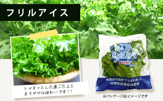 ピュアベジタブル 12袋［徳島県産 那賀町 やさい 野菜 新鮮 リーフレタス フリルレタス ベジタブル サラダ 野菜生活 レタス 国産 安心 安全 無農薬 農薬未使用 機能性野菜 工場栽培 工場直送］【NV-2】