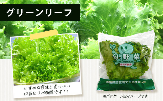 ピュアベジタブル 12袋［徳島県産 那賀町 やさい 野菜 新鮮 リーフレタス フリルレタス ベジタブル サラダ 野菜生活 レタス 国産 安心 安全 無農薬 農薬未使用 機能性野菜 工場栽培 工場直送］【NV-2】