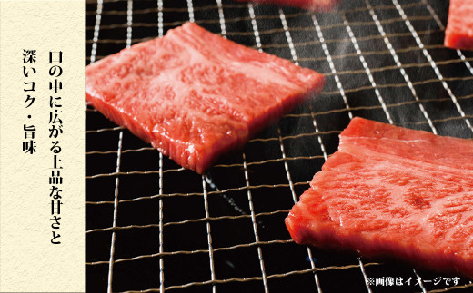 奥出雲和牛肩ロース焼き肉用　600g　【生産数が少ない 幻の黒毛和牛 国産 島根県産 牛肉 黒毛和牛 おすすめ 人気】