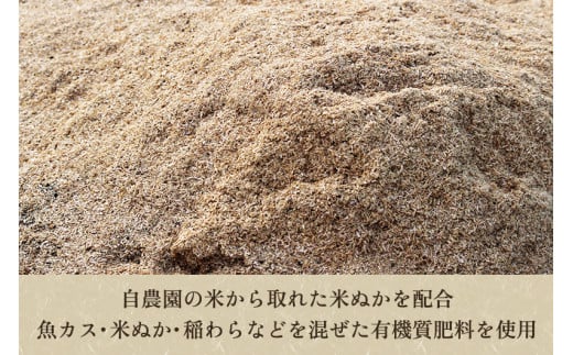 【令和6年産新米先行予約】新潟産コシヒカリ「かも米」玄米5kg （5kg×1袋）真空パック 【無農薬・無化学肥料】 従来品種コシヒカリ 加茂市 織原農園