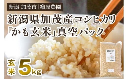 【令和6年産新米先行予約】新潟産コシヒカリ「かも米」玄米5kg （5kg×1袋）真空パック 【無農薬・無化学肥料】 従来品種コシヒカリ 加茂市 織原農園