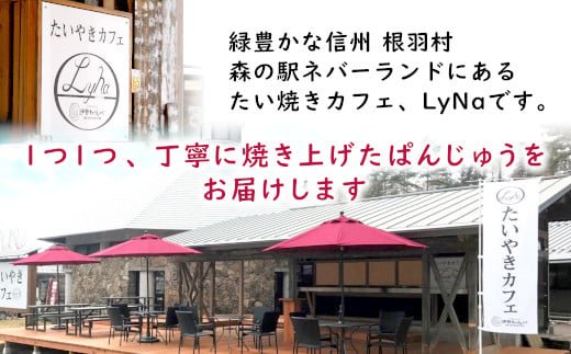 もちもち食感の饅頭！ぱんじゅう リンゴカスタード味 10個入り 5000円 りんご スイーツ アップル カスタードクリーム 饅頭 茶菓子 お茶菓子 和菓子 