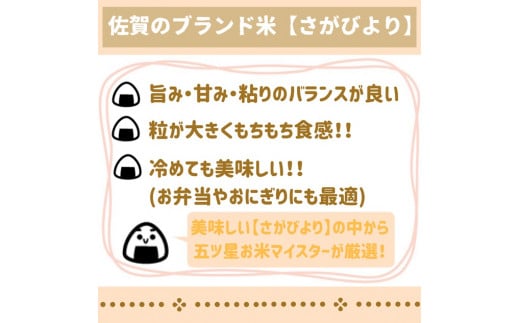 CI781_【無洗米】さがびより５kg【五つ星お米マイスター厳選！】佐賀県産