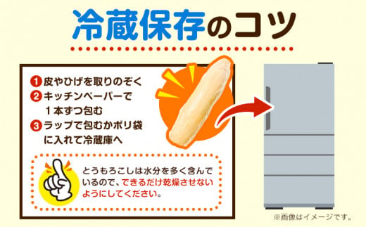 朝採りとうもろこし 河合農園のスイートコーン 12本 特大サイズ(1本380g以上) 河合農園【先行予約】《2025年8月上旬-9月中旬頃出荷》 送料無料 とうもろこし 北海道 本別町 北海道 十勝 本別町産 極甘 特大 バイカラー フルーティー とうきび トウモロコシ 高糖度 先行予約