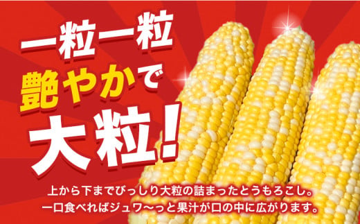 朝採りとうもろこし 河合農園のスイートコーン 12本 特大サイズ(1本380g以上) 河合農園【先行予約】《2025年8月上旬-9月中旬頃出荷》 送料無料 とうもろこし 北海道 本別町 北海道 十勝 本別町産 極甘 特大 バイカラー フルーティー とうきび トウモロコシ 高糖度 先行予約