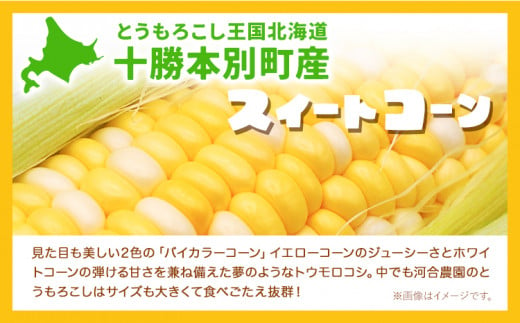 朝採りとうもろこし 河合農園のスイートコーン 12本 特大サイズ(1本380g以上) 河合農園【先行予約】《2025年8月上旬-9月中旬頃出荷》 送料無料 とうもろこし 北海道 本別町 北海道 十勝 本別町産 極甘 特大 バイカラー フルーティー とうきび トウモロコシ 高糖度 先行予約