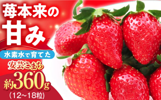 いちご 贈答 ギフト 特産品 産地直送 取り寄せ お取り寄せ 送料無料 広島 三次 15000円