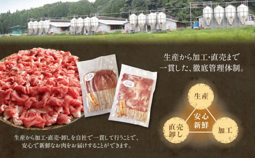 【定期3回発送】火の本豚 詰め合わせセット 切り落とし550g しゃぶしゃぶ用ロース300g あらびきウインナー10本入 チョリソーウィンナー10本