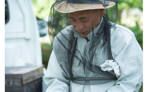 【特別仕様】はちみつ 井之上養蜂場 桃源郷百花蜂蜜 三朝町産 600g × 1本