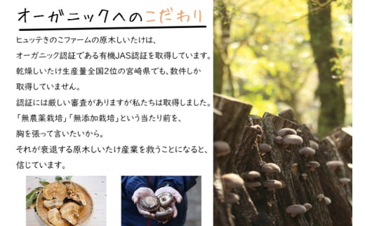 宮崎県産 極上 干し椎茸 30g 干し 椎茸 40g なば節 20g きのこ 専用醤油 100ml セット [ HUTTE 宮崎県 美郷町 31ao0019] しいたけ 出汁 醬油 昆布 贈答用 オーガニック 原木栽培 有機JAS 自然派 普段使い 家庭 料理 和食 煮物 鍋 卵かけご飯 ギフト 母の日 敬老の日 プレミアム 限定