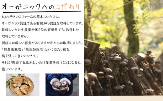 宮崎県産 極上 干し椎茸 30g 干し 椎茸 40g なば節 20g きのこ 専用醤油 100ml セット [ HUTTE 宮崎県 美郷町 31ao0019] しいたけ 出汁 醬油 昆布 贈答用 オーガニック 原木栽培 有機JAS 自然派 普段使い 家庭 料理 和食 煮物 鍋 卵かけご飯 ギフト 母の日 敬老の日 プレミアム 限定