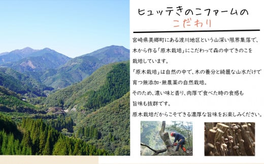 宮崎県産 極上 干し椎茸 30g 干し 椎茸 40g なば節 20g きのこ 専用醤油 100ml セット [ HUTTE 宮崎県 美郷町 31ao0019] しいたけ 出汁 醬油 昆布 贈答用 オーガニック 原木栽培 有機JAS 自然派 普段使い 家庭 料理 和食 煮物 鍋 卵かけご飯 ギフト 母の日 敬老の日 プレミアム 限定