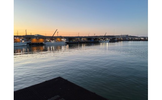 くにをのたこキムチ150g×２個セット