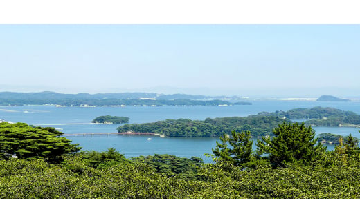 宮城県南三陸発 素材よし!海の幸8種、ラクして美味しい楽ちんパック&ひとめぼれ米2合のセット【1412075】