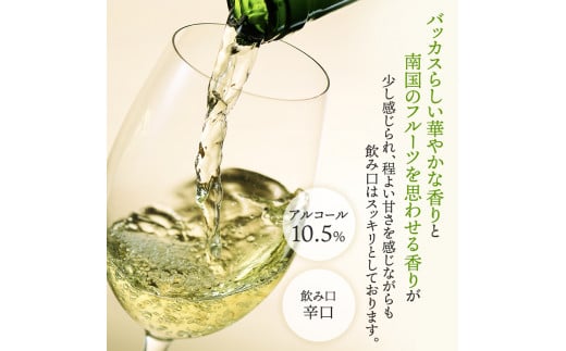 NIKI Hills Winery 白ワイン【 NEIRO 】 750ml