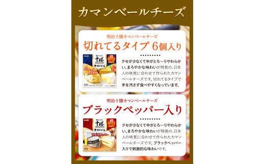 明治北海道十勝チーズセットK(6種) 計6個 本別町観光協会 《60日以内に出荷予定(土日祝除く)》詰め合わせ 食べ比べ 北海道 本別町 送料無料 チーズ 十勝 明治 乳製品 カマンベール スライスチーズ