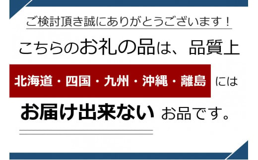 ジャム用などの加工用あんず 1kg