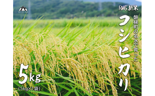 【予約受付】【令和6年産米】コシヒカリ5kg　磐梯町の名水で育ったコシヒカリ