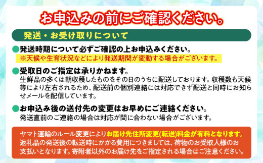 【令和7年産先行予約】ラ・フランス（洋梨） 約5kg(3Lサイズ16玉 又は 4Lサイズ14玉)　伊藤果樹園