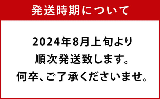 大分県 豊後大野市産 梨 約3kg 幸水 豊水 新高 新興