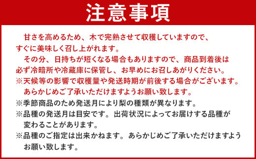 大分県 豊後大野市産 梨 約3kg 幸水 豊水 新高 新興