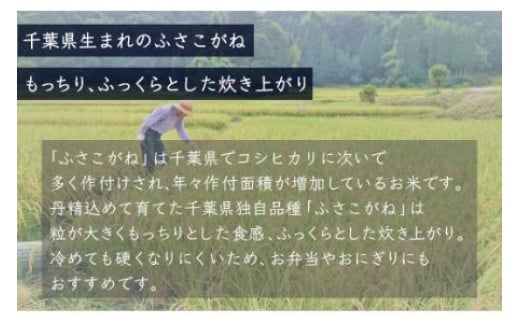 ＜3ヶ月定期便＞千葉県産「ふさこがね」5kg×3ヶ月連続 計15kg ふるさと納税 米 定期便 5kg ふさこがね 千葉県 大網白里市 送料無料