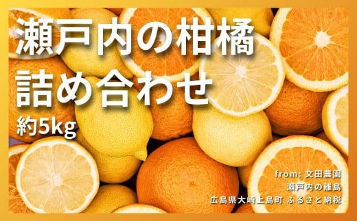 [2~3月発送] 文田農園の柑橘詰め合わせ 約5kg 7~8種 瀬戸内 広島 大崎上島 離島