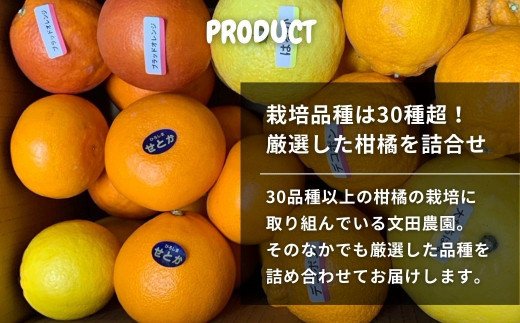 [2~3月発送] 文田農園の柑橘詰め合わせ 約5kg 7~8種 瀬戸内 広島 大崎上島 離島 柑橘 レモン 檸檬 せとか 八朔 はっさく 大橘 ブラッドオレンジ