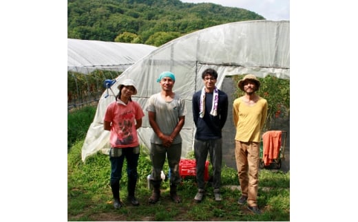 ＜北海道産トマト使用＞無添加で素材の味にこだわった、高糖度フルーツトマトジュース(1L×2本)【1221879】