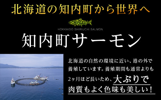 【2025年7月末以降出荷】知内サーモンハーフロイン 1㎏ ＜上磯郡漁業協同組合＞ 発送予約 サーモン 鮭 さけ 国産