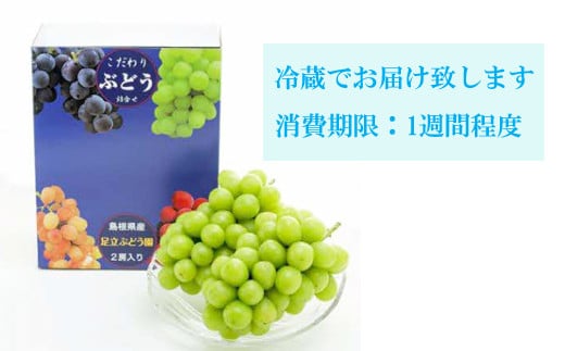 シャインマスカット600g×2房　【1.2kg 冷蔵 ギフト 国産  葡萄  お取り寄せ  】