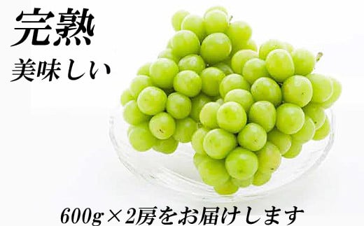 シャインマスカット600g×2房　【1.2kg 冷蔵 ギフト 国産  葡萄  お取り寄せ  】