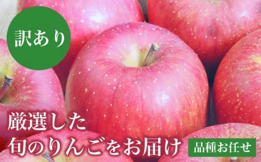 ［訳あり］ 旬のりんご 約3kg 6～12玉 ［小布施屋］ 傷 規格外 不揃い 訳アリ 家庭用 りんご 林檎 リンゴ 果物 フルーツ 長野県産 信州産 特産 産地直送 産直 数量限定 先行予約 令和6年度産 【2025年1月〜2月配送】［A-304］