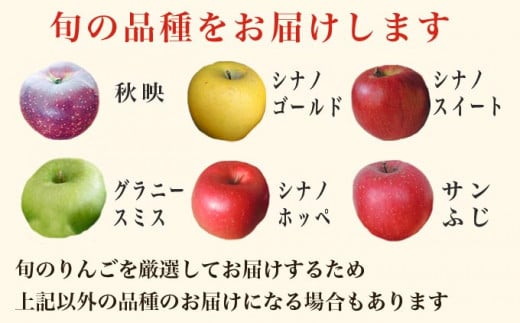 ［訳あり］ 旬のりんご 約3kg 6～12玉 ［小布施屋］ 傷 規格外 不揃い 訳アリ 家庭用 りんご 林檎 リンゴ 果物 フルーツ 長野県産 信州産 特産 産地直送 産直 数量限定 先行予約 令和6年度産 【2025年1月〜2月配送】［A-304］