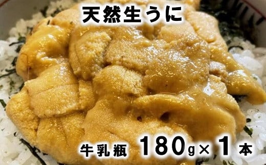 三陸産「天然生うに」先行予約！ 180g×1本 ミョウバン不使用  うに牛乳瓶 雲丹  【令和５年５月下旬～発送予定】 