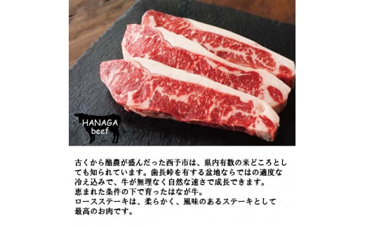 熟成肉 はなが牛ロースステーキ