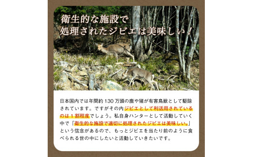 鹿肉シチュー 5個セット 熟成 鹿肉 ジビエ シチュー 湯煎 手軽 簡単調理 和フレンチ 奥丹波 丹波 鹿 長期保存 おかず レトルト 簡単 調理 料理 常温 京都 綾部 食品 レトルト食品 常温保存 お惣菜 一人暮らし 肉 セット