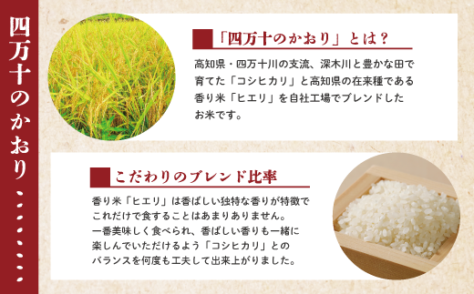 R6-156．【令和6年産新米・早期受付】四万十のかおり5 kg＆四万十のこしひかり5 kgの食べ比べセット（合計10 kg）【2024年10月より順次配送】