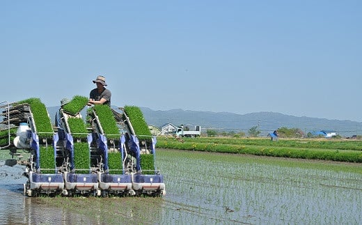 【塩こうじ・甘酒などに】北海道産米のやわらなか生こうじ」500g×5袋　　D033