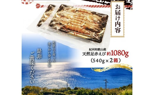 紀州和歌山産天然足赤えび540g×2箱（270g×4パック）　化粧箱入【2024年11月上旬頃～2025年2月上旬頃に順次発送】【UT24】