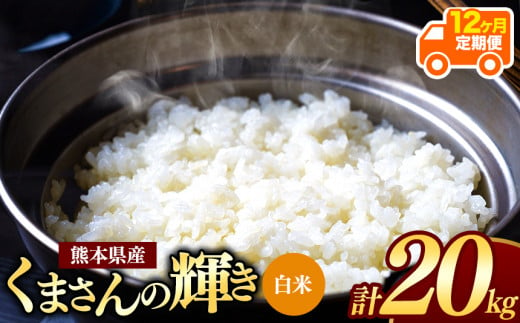 令和6年産   【定期便12回】 熊本県産 くまさんの輝き 白米 20kg | 小分け 5kg × 4袋  熊本県産 こめ 米 白米 ごはん 銘柄米 ブランド米 単一米 人気 日本遺産 菊池川流域 こめ作り ごはん ふるさと納税 返礼品