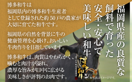 博多和牛 A-5等級 ももしゃぶしゃぶ用 500g 牛肉 和牛 福岡ブランド牛 赤身 肉 しゃぶしゃぶ お肉 ビーフ A5ランク ギフト 贈り物 食品 鍋 もも肉